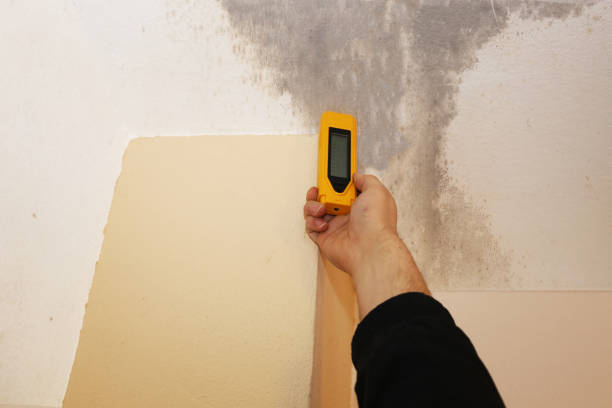 Best HVAC Mold Inspection and Cleaning  in Lewisport, KY