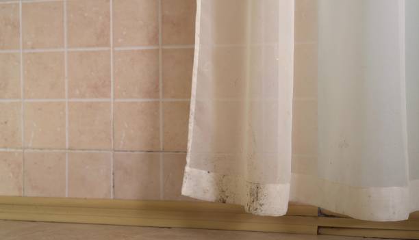 Best Air Quality Testing for Mold Spores  in Lewisport, KY