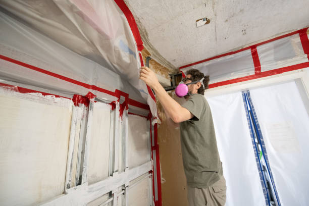 Best Airborne Mold Testing  in Lewisport, KY