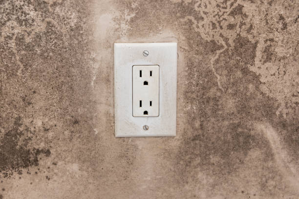 Best Real Estate Mold Inspection  in Lewisport, KY