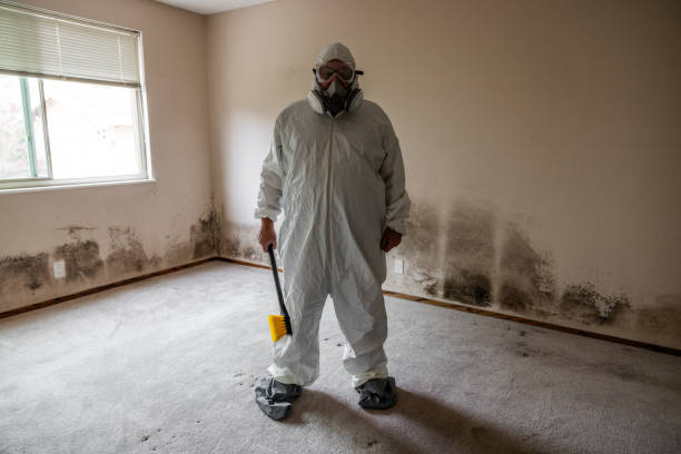Best Asbestos and Lead Testing During Mold Inspection  in Lewisport, KY